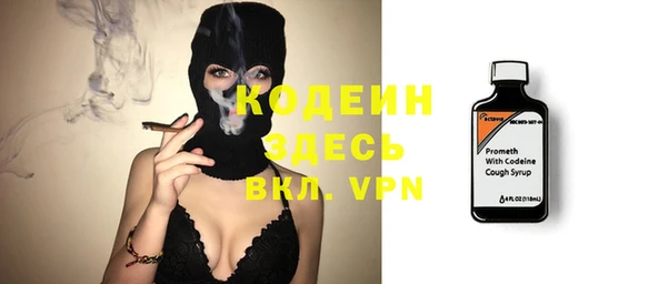 шишки Елабуга