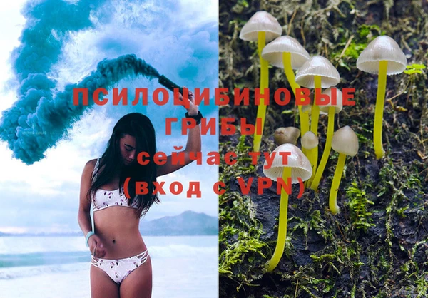 шишки Елабуга
