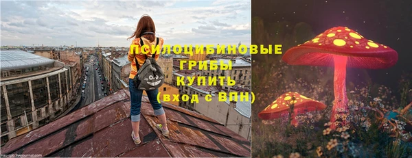 шишки Елабуга
