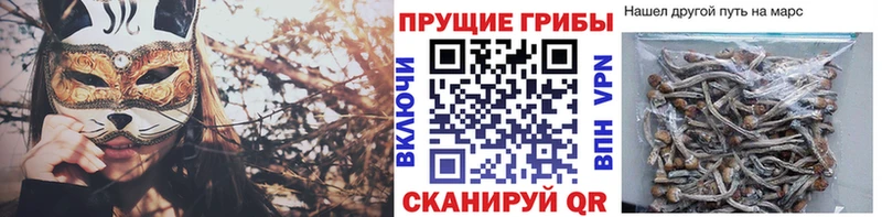 Псилоцибиновые грибы прущие грибы  Северо-Курильск 
